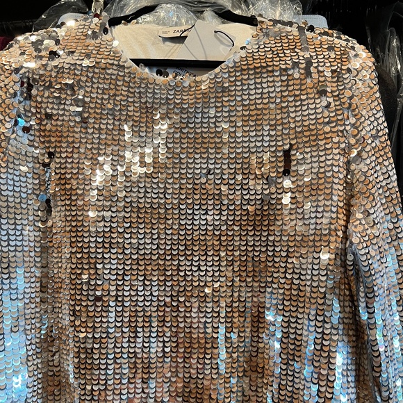 Zara Stretch Knit Sequin Long Sleeve Top - NWT - Picture 1 of 7